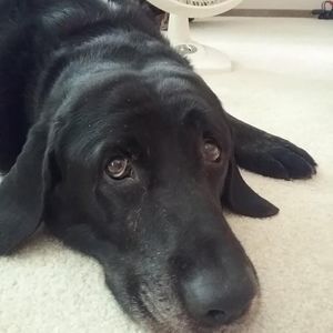 Meet your Posher, Jolene